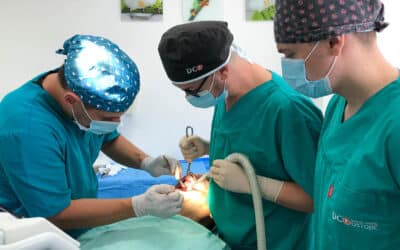 Kontinuirana edukacija u dentalnoj implantologiji